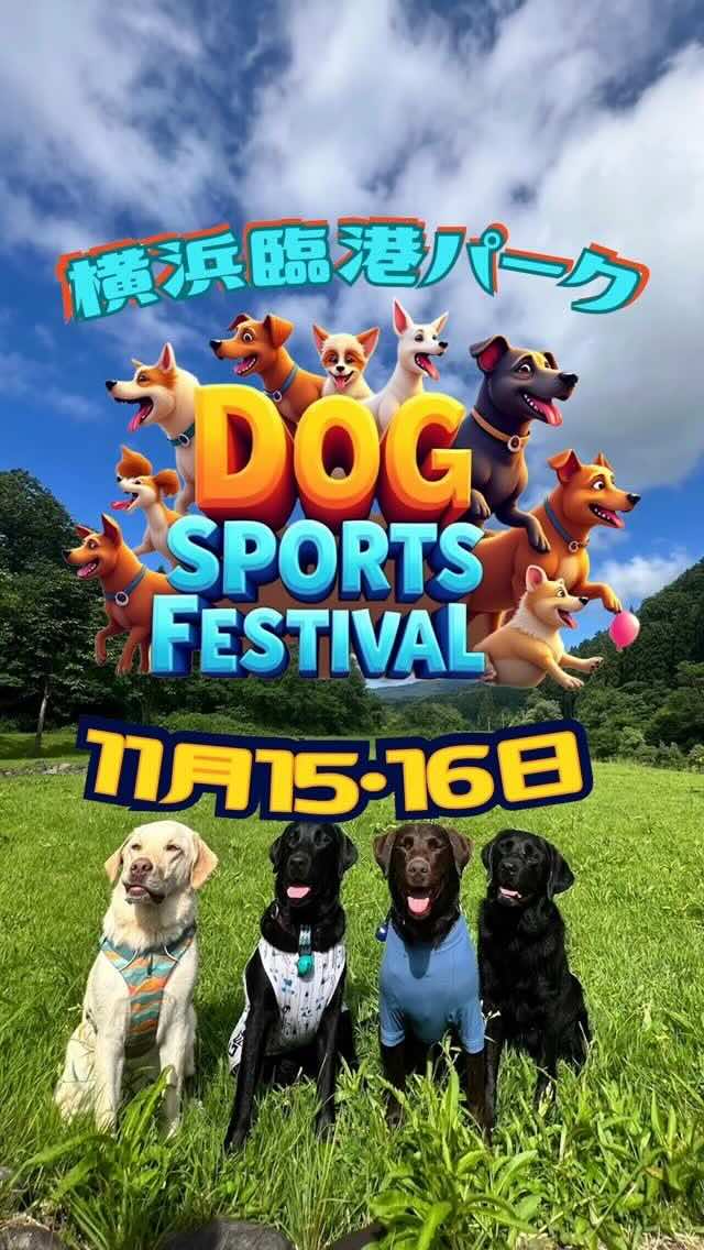 ドッグスポーツフェスティバルのイベント画像