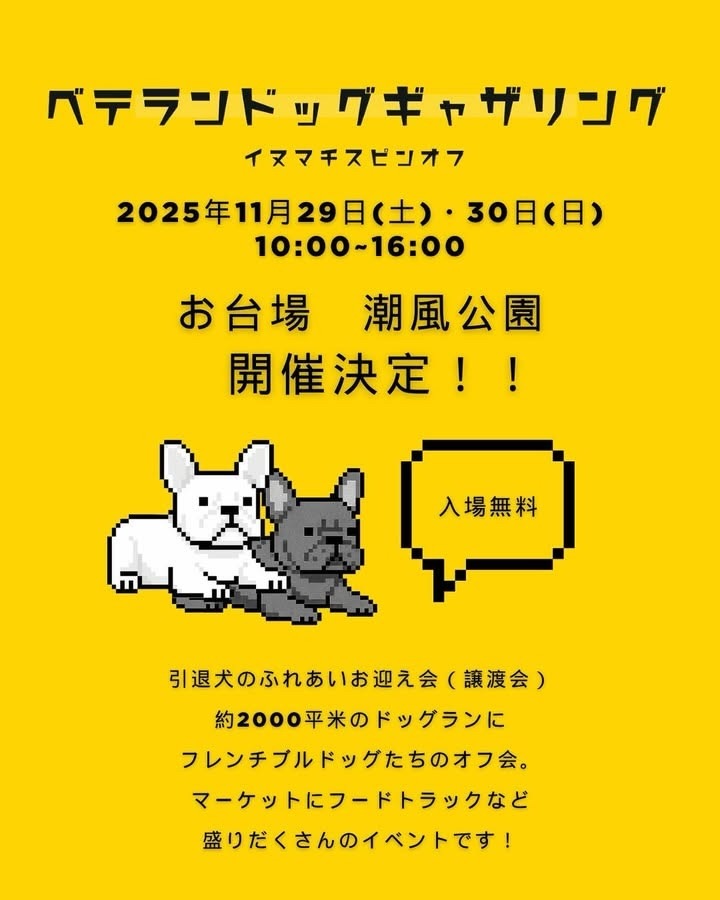 ベテランドッグギャザリングのイベント画像