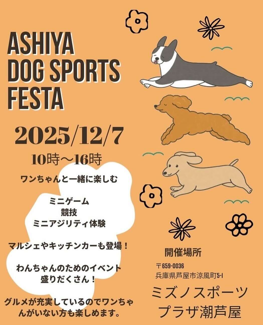 ASHIYA DOG SPORTS FESTA（アシヤドッグスポーツフェスタ）のイベント画像