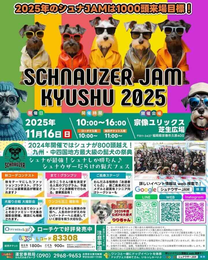 シュナウザー JAM九州2025のイベント画像
