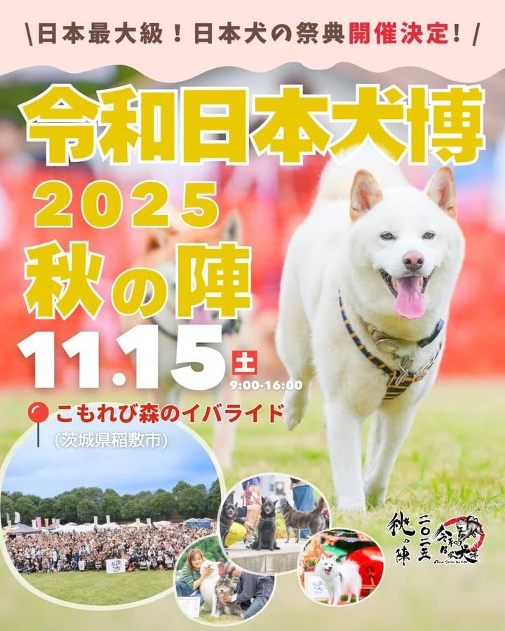 令和日本犬博 2025 秋の陣のイベント画像
