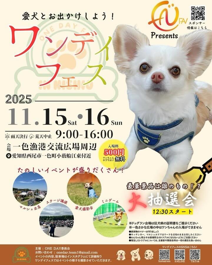 第5回 ワンデイフェスのイベント画像