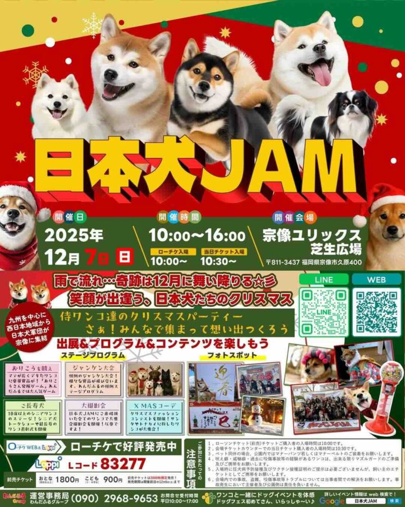 日本犬JAM九州2025のイベント画像