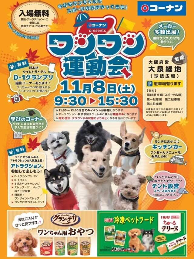 第2回 ワンワン運動会 in 関西のイベント画像