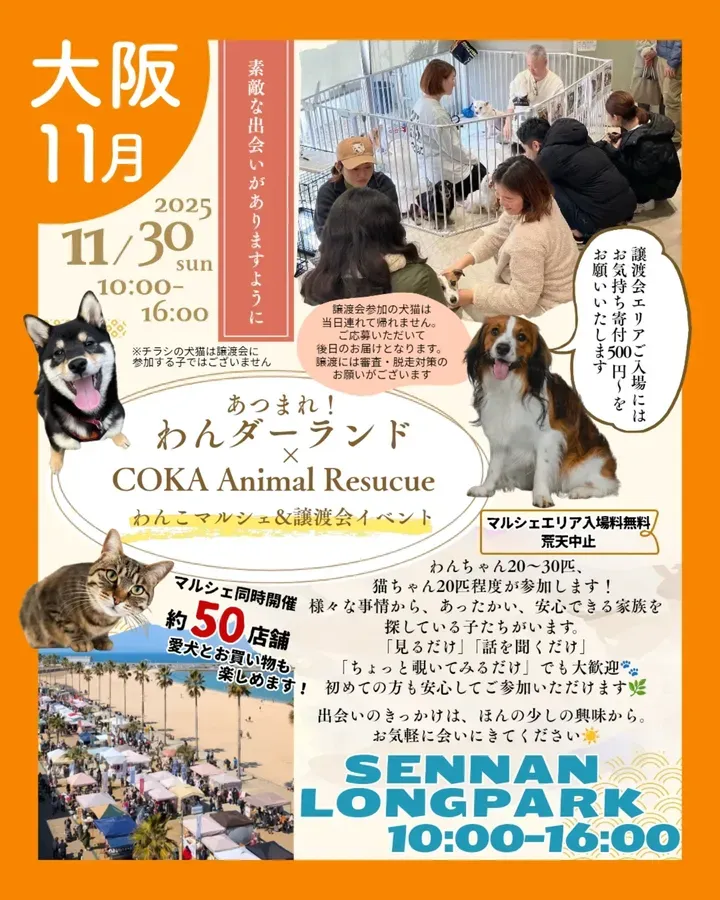 あつまれ！わんダーランド × COKA Animal Rescueのイベント画像