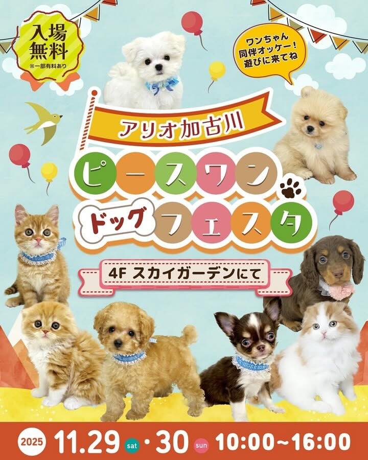 ピースワンドッグフェスタのイベント画像