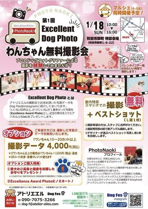 第1回Excellent Dog Photo わんちゃん無料撮影会のイベント画像
