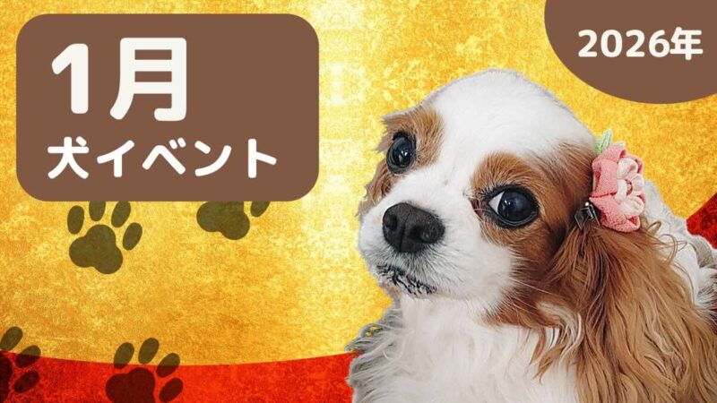 【犬とお出かけ】2026年1月犬イベントの画像