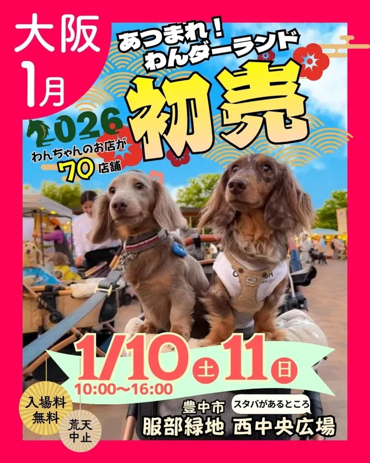 あつまれ！わんダーランドのイベント画像