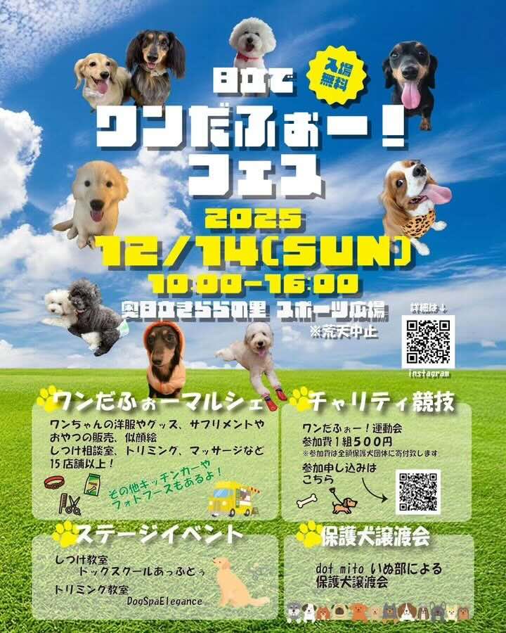 日立でわんだふぉー！フェスのイベント画像