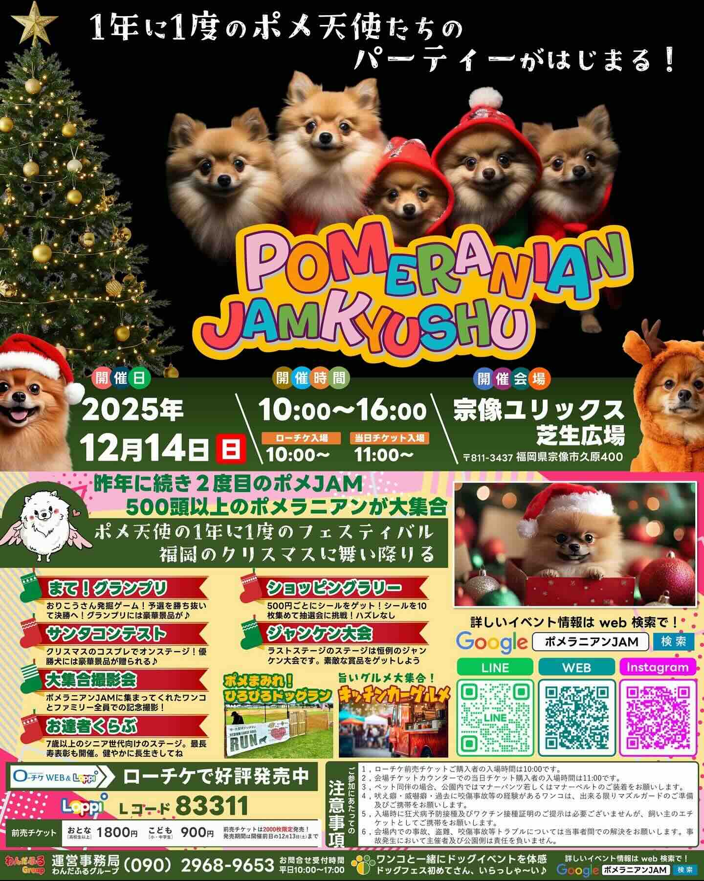 ポメラニアン JAM九州2025のイベント画像