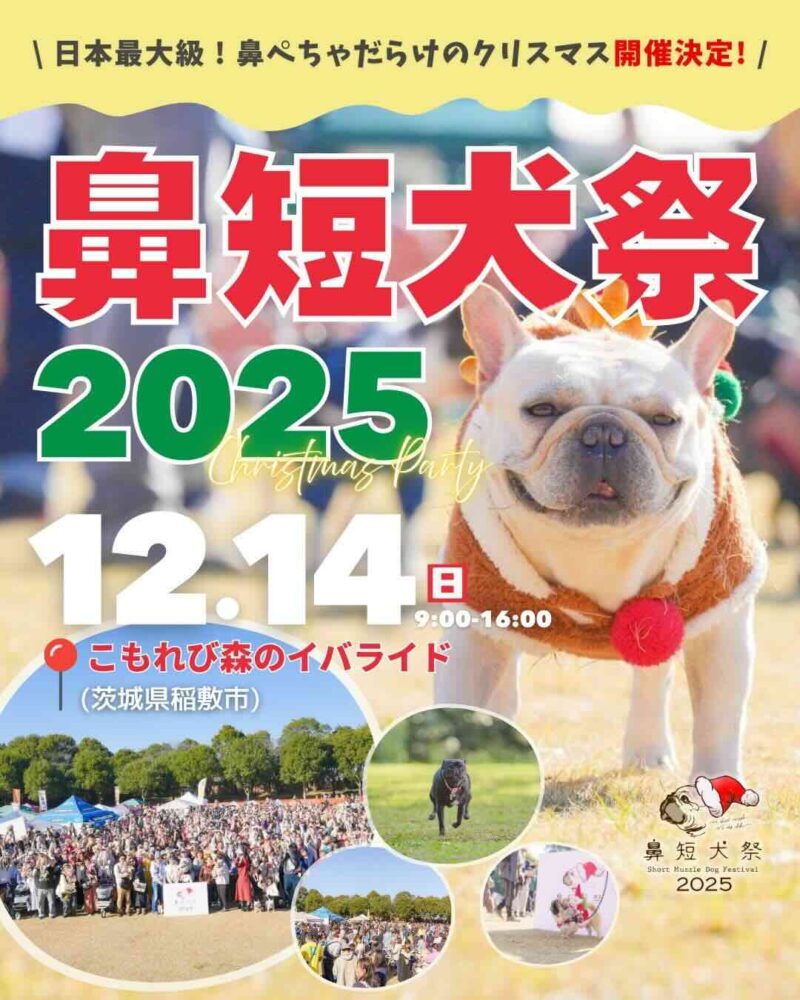 鼻短犬祭 2025 クリパのイベント画像