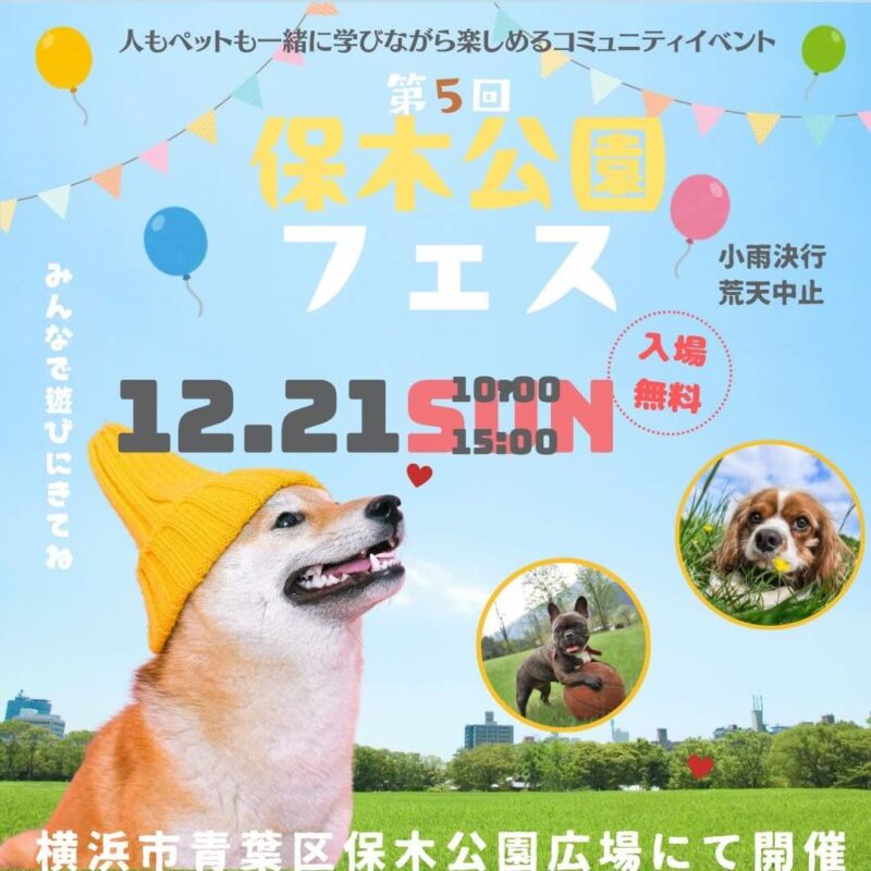 第5回 保木公園フェスのイベント画像
