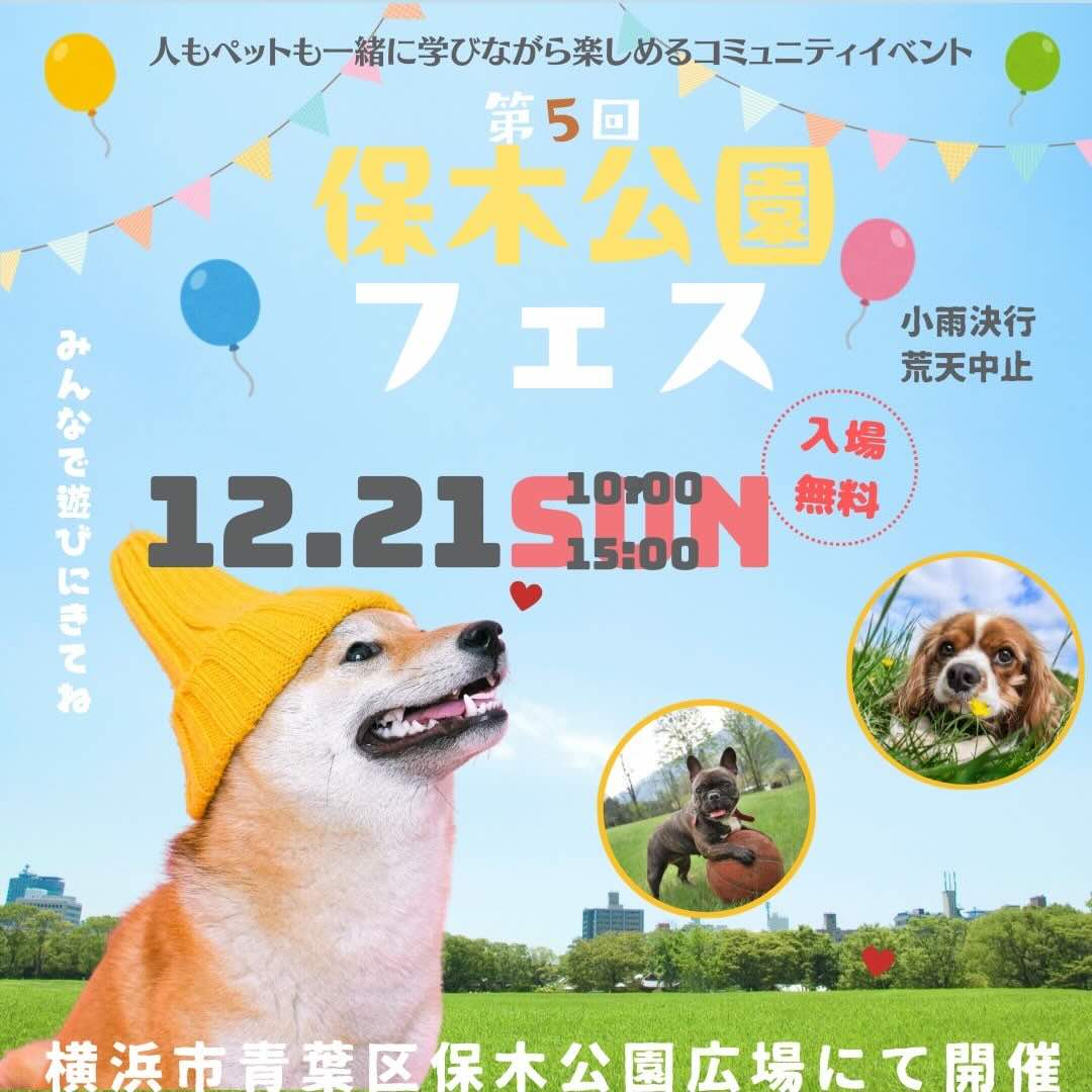 第5回 保木公園フェスのイベント画像