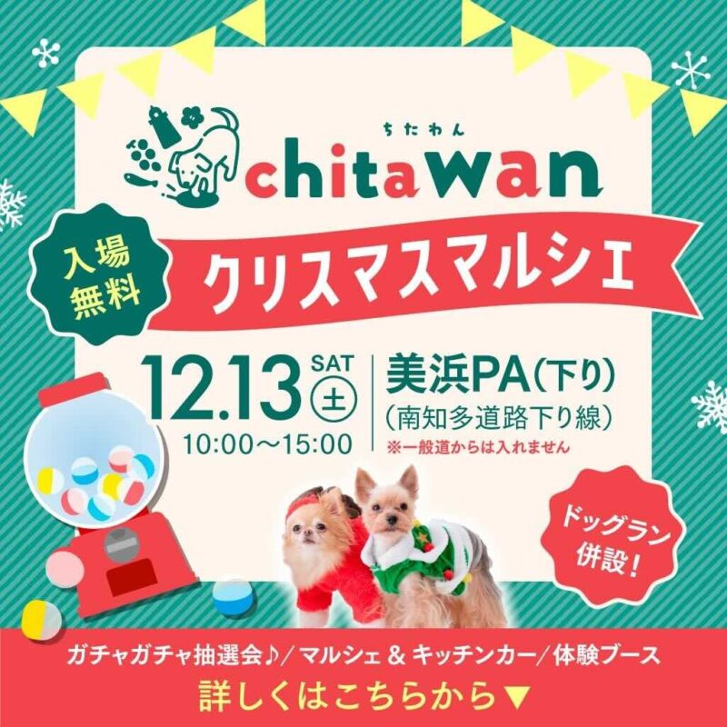 chita wan クリスマスマルシェのイベント画像