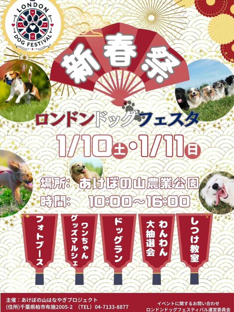 London Dog Festa 新春祭（ロンドンドッグフェスティバル）のイベント画像