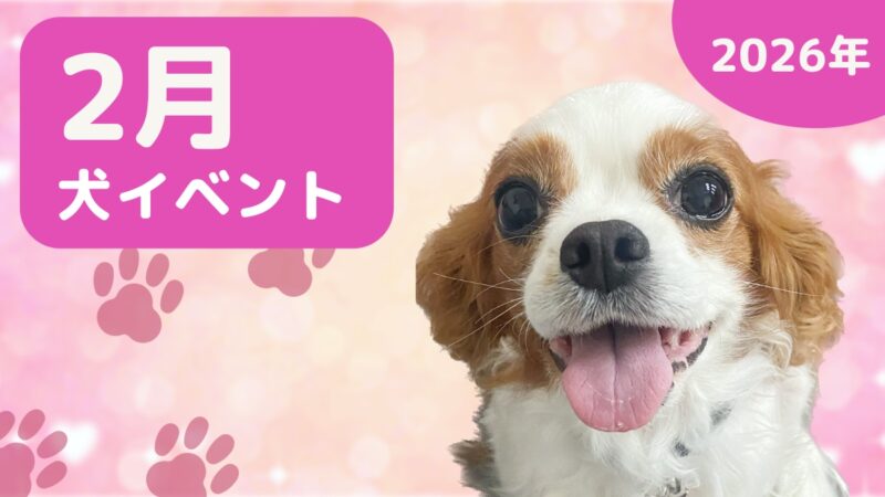【犬とお出かけ】2026年2月犬イベントの画像
