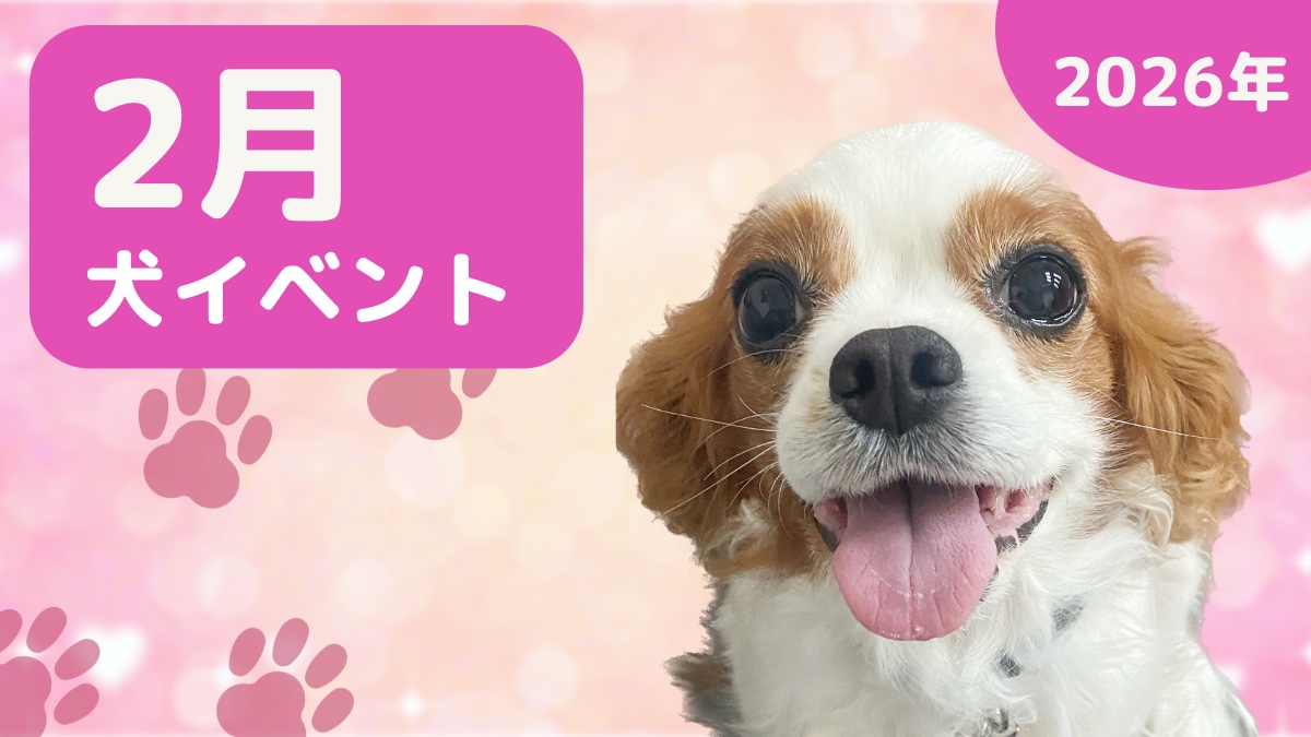【犬とお出かけ】2026年2月犬イベントの画像