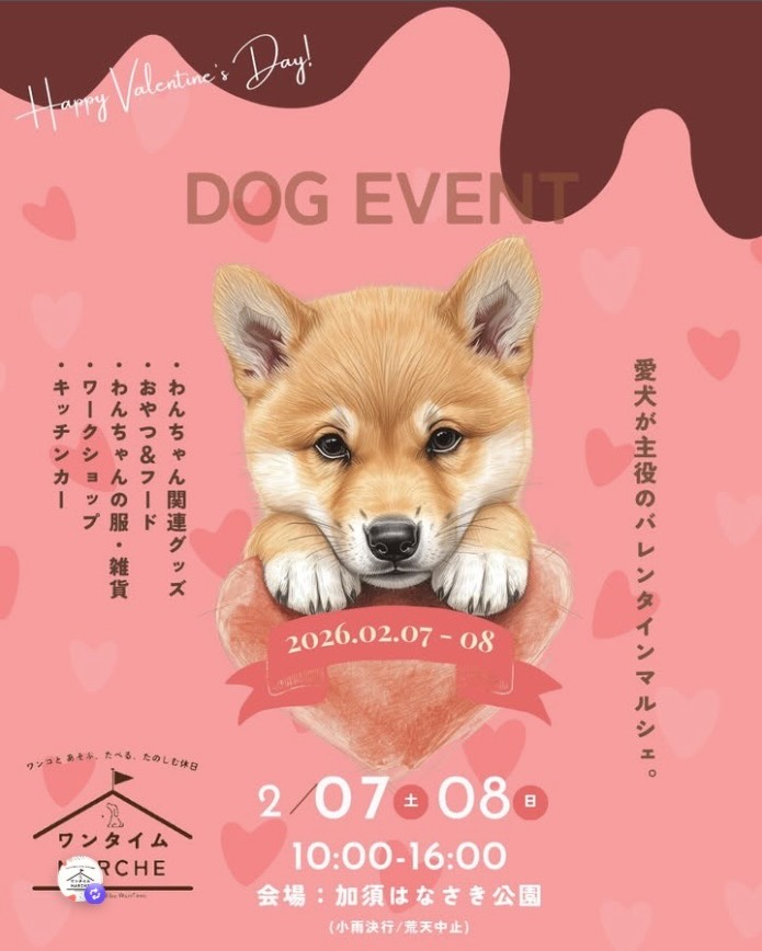 第16回ワンタイムマルシェ @加須はなさき公園のイベント画像