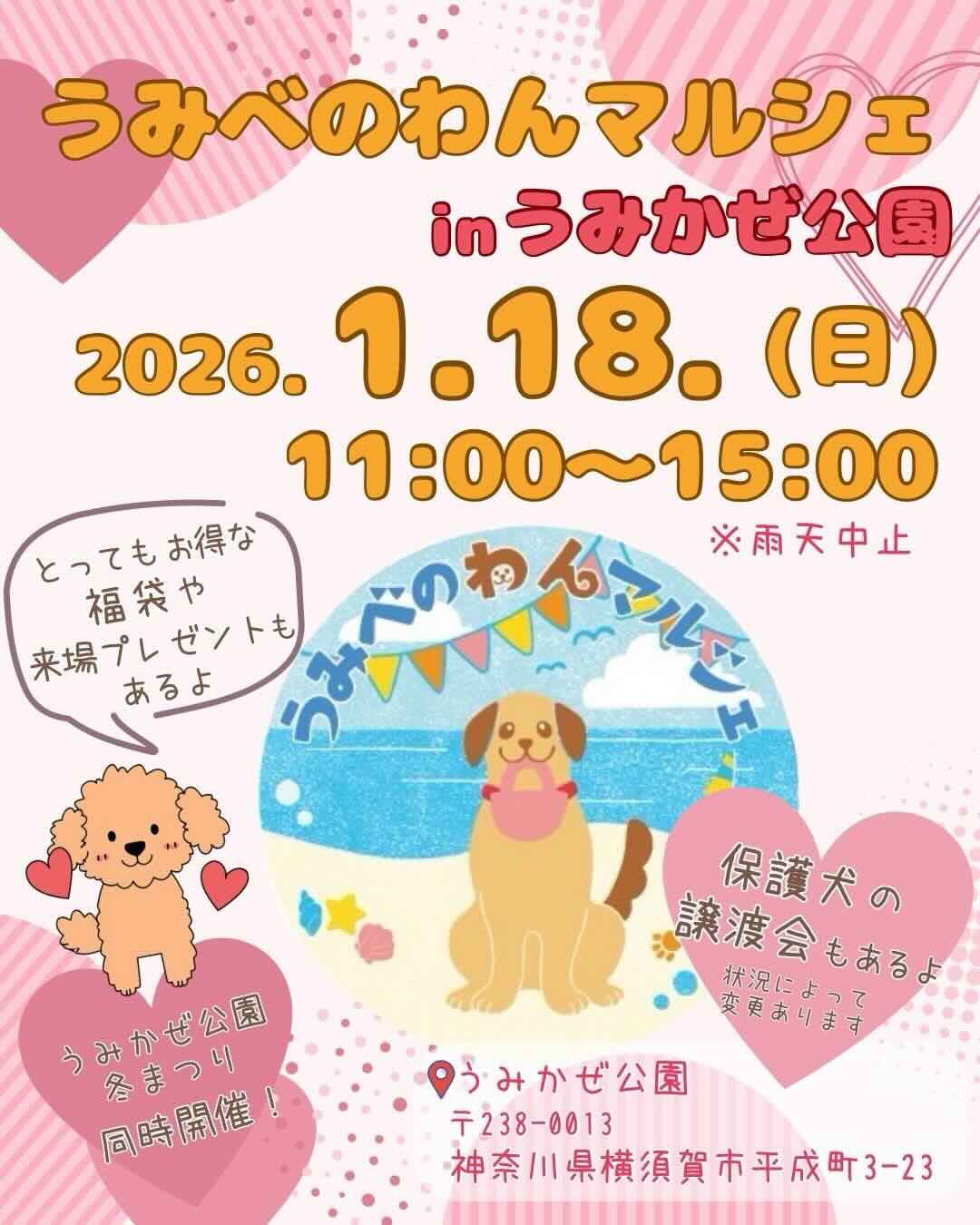 うみべのわんマルシェinうみかぜ公園のイベント画像