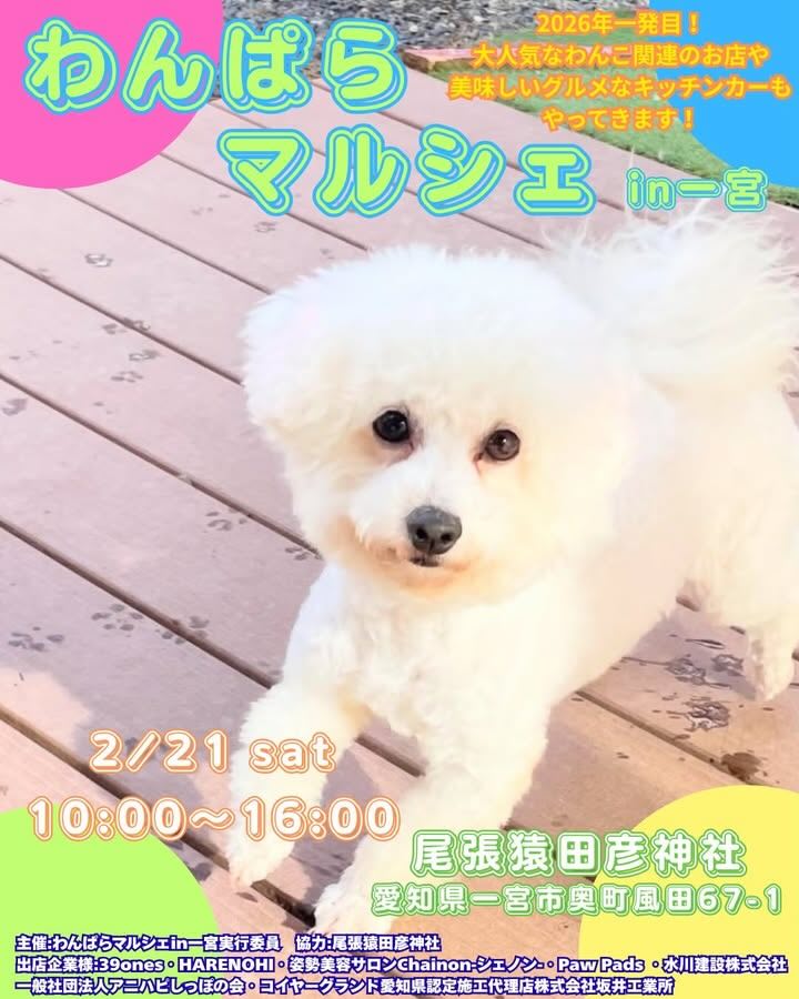 わんぱらマルシェ in 一宮のイベント画像