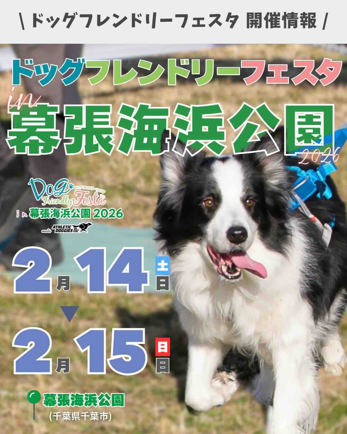 ドッグフレンドリーフェスタ in 幕張海浜公園 2026 meets アスレチックドギーズ のイベント画像