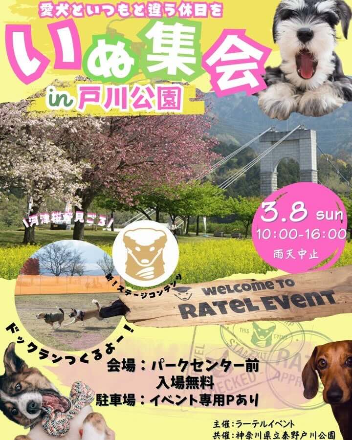 いぬ集会 in 戸川公園のイベント画像