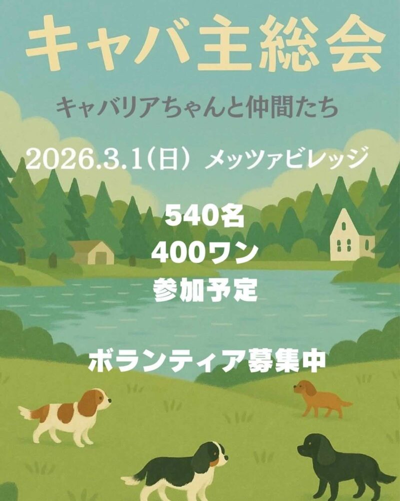 令和八年度キャバ主総会2026年3月1日（日）～キャバリアちゃんと仲間たち～のイベント画像