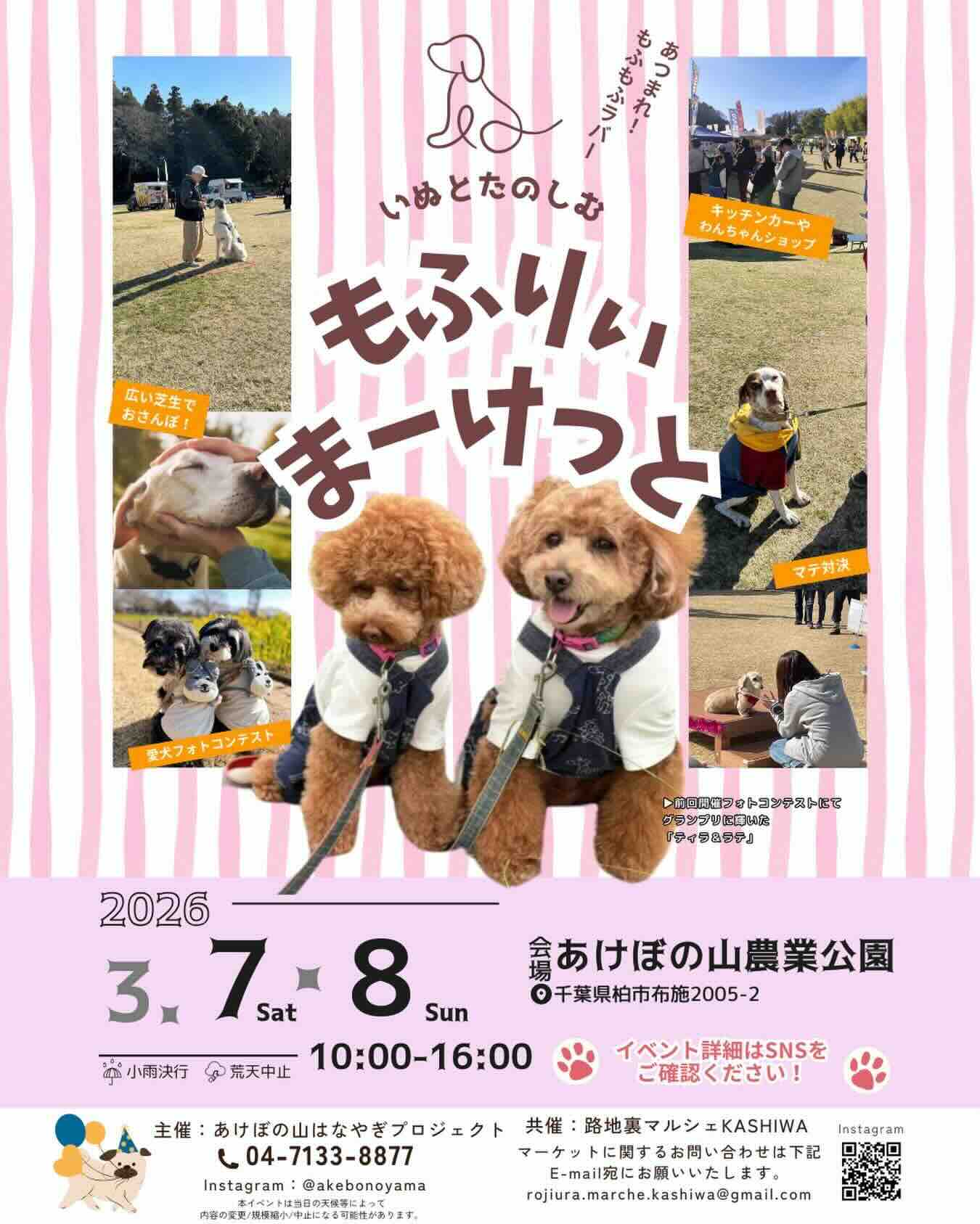 もふりぃまーけっとのイベント画像