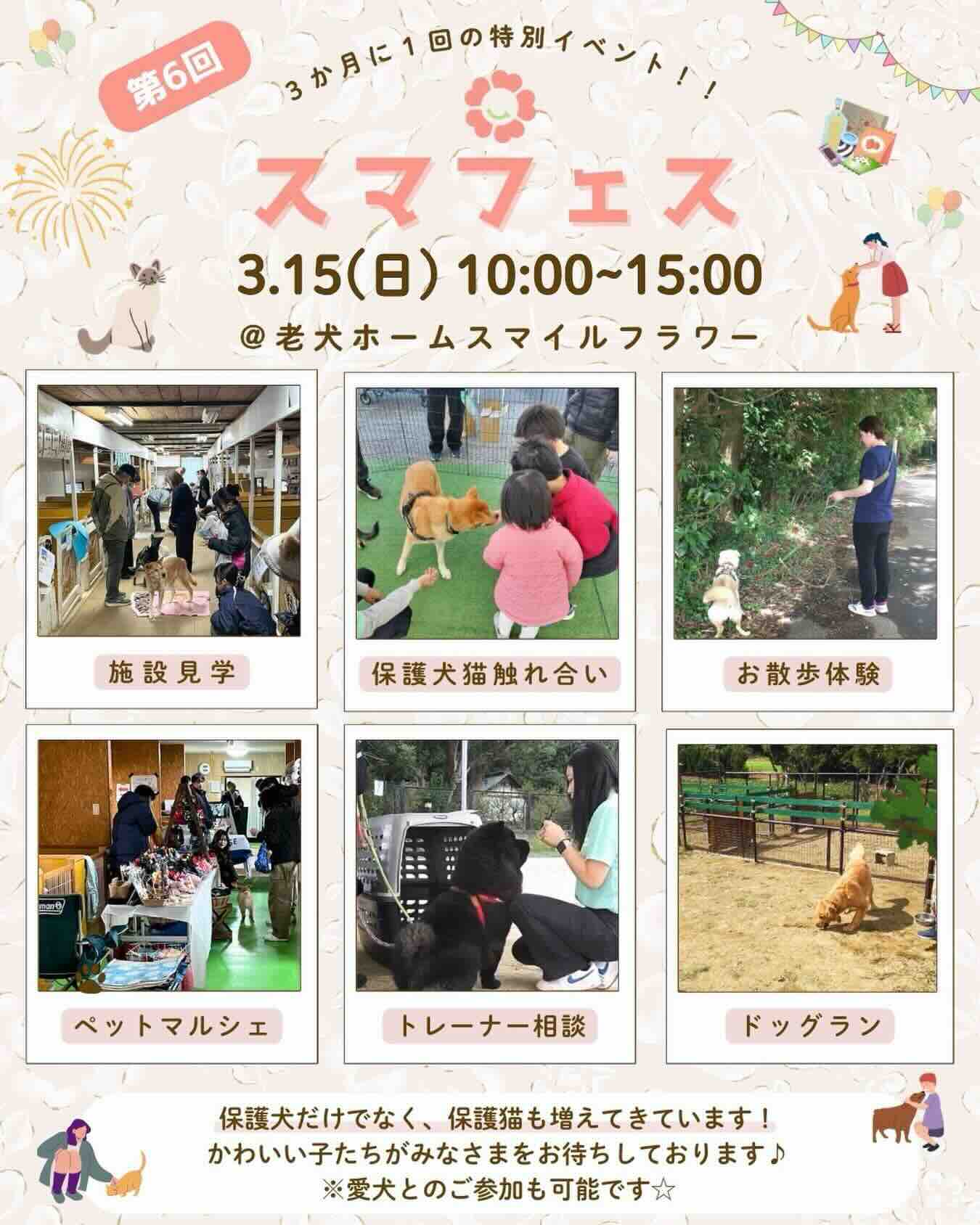 第6回 スマフェスのイベント画像