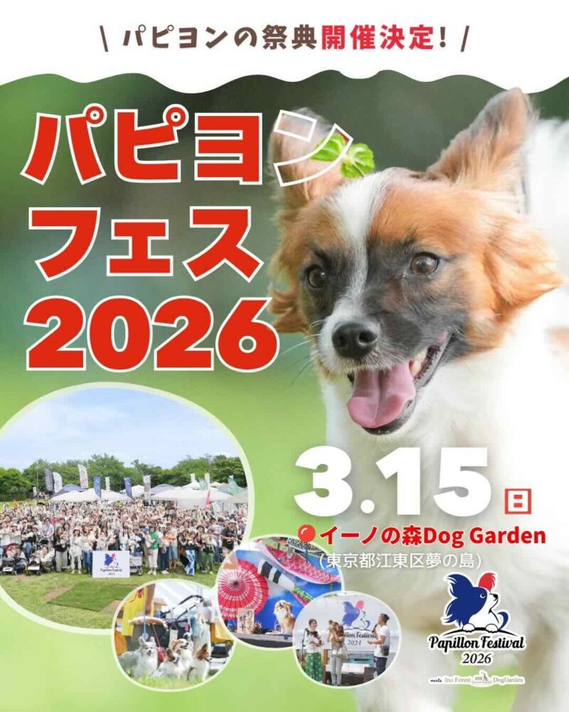 パピヨンフェスティバル 2026 meets イーノの森Dog Gardenのイベント画像