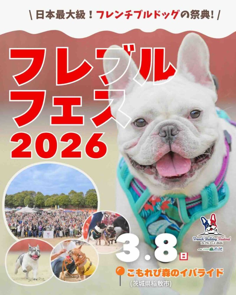 フレブルフェスティバル 2026 meets こもれび森のイバライドのイベント画像