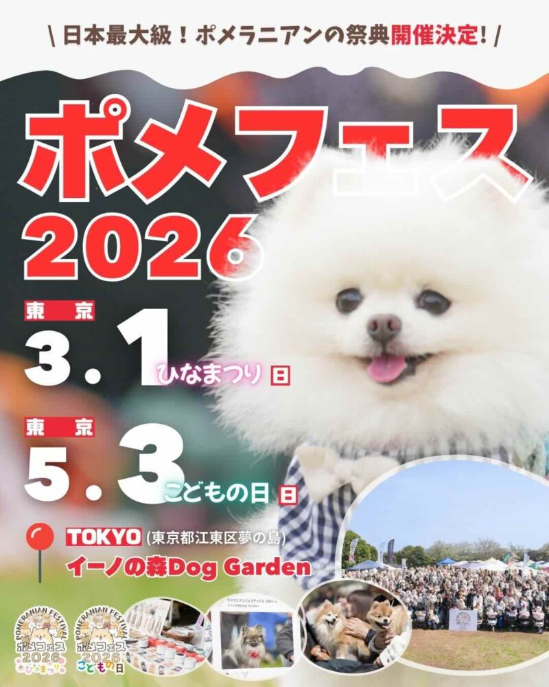 ポメラニアンフェスティバル 2026 ひなまつり／こどもの日のイベント画像