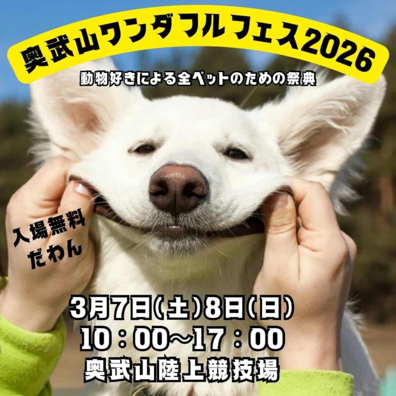 奥武山ワンダフルフェス2026のイベント画像