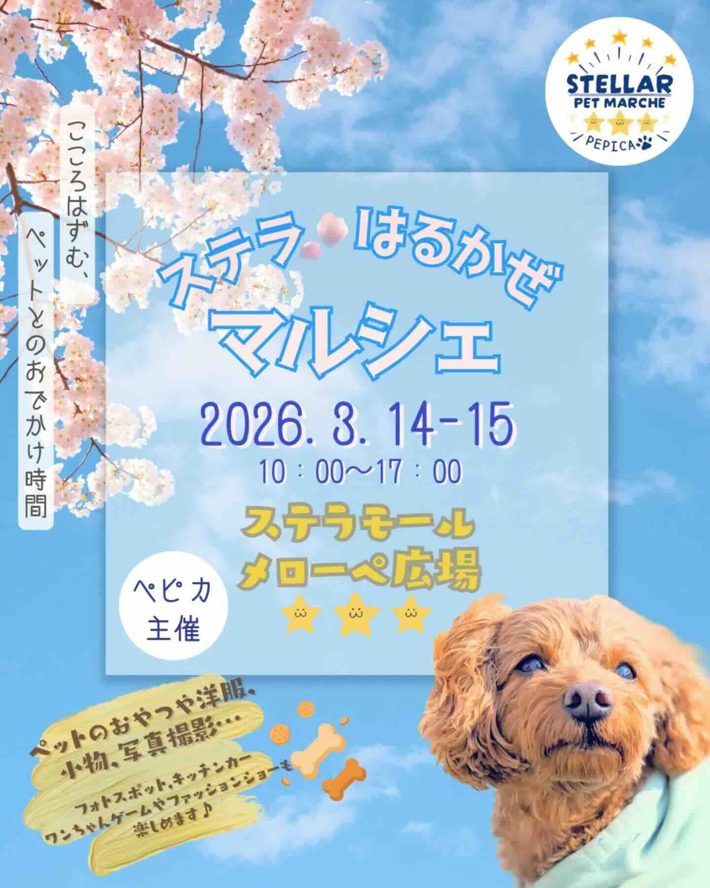 ステラはるかぜマルシェのイベント画像