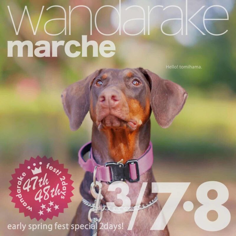 wandarakre 47&48（わんだらけマルシェ）のイベント画像