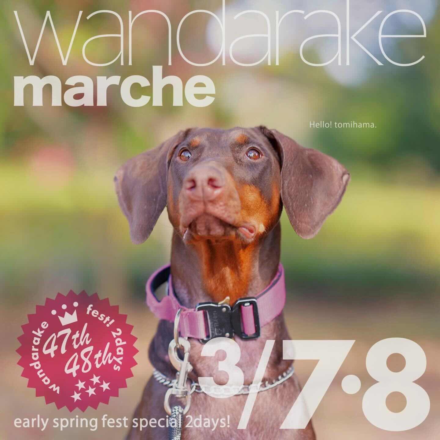 wandarakre 47&48（わんだらけマルシェ）のイベント画像