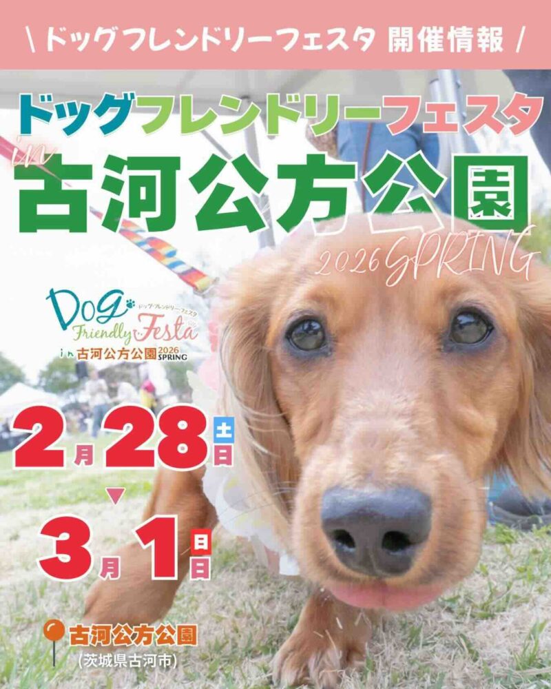 ドッグフレンドリーフェスタ in 古河公方公園2026 SPRINGのイベント画像