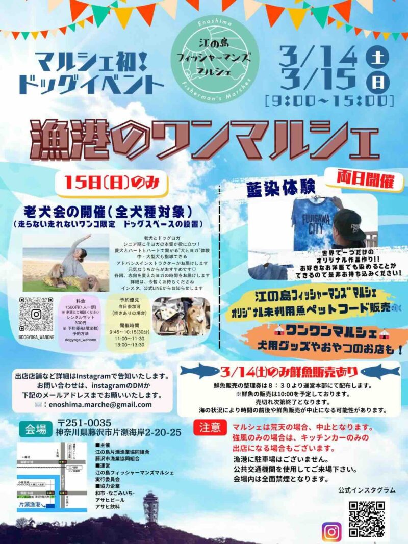 漁港のワンマルシェのイベント画像