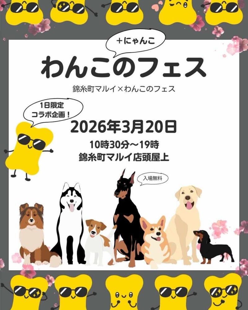 わんこ+にゃんこのフェス〜錦糸町マルイ×わんこのフェス〜のイベント画像