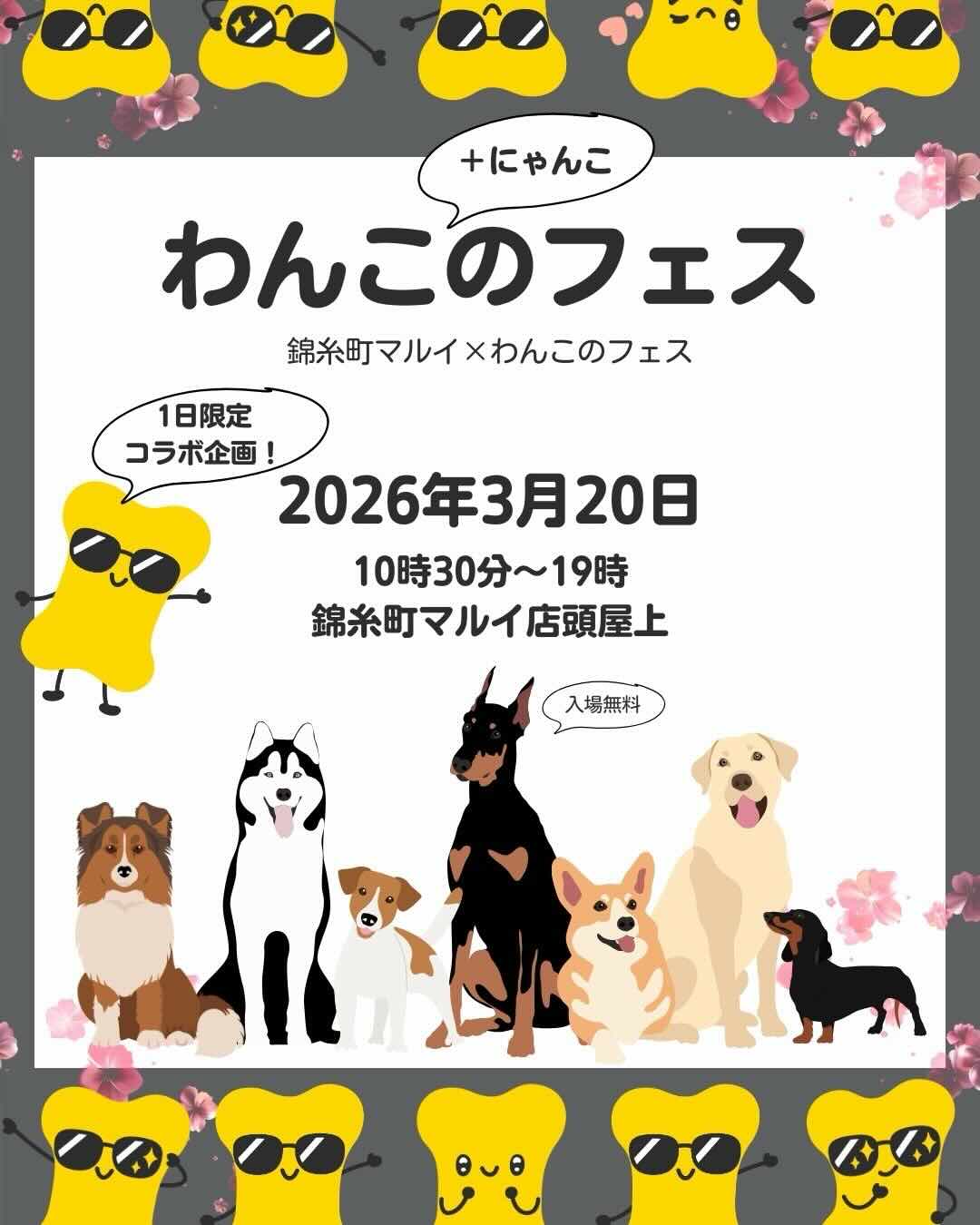 わんこ+にゃんこのフェス〜錦糸町マルイ×わんこのフェス〜のイベント画像