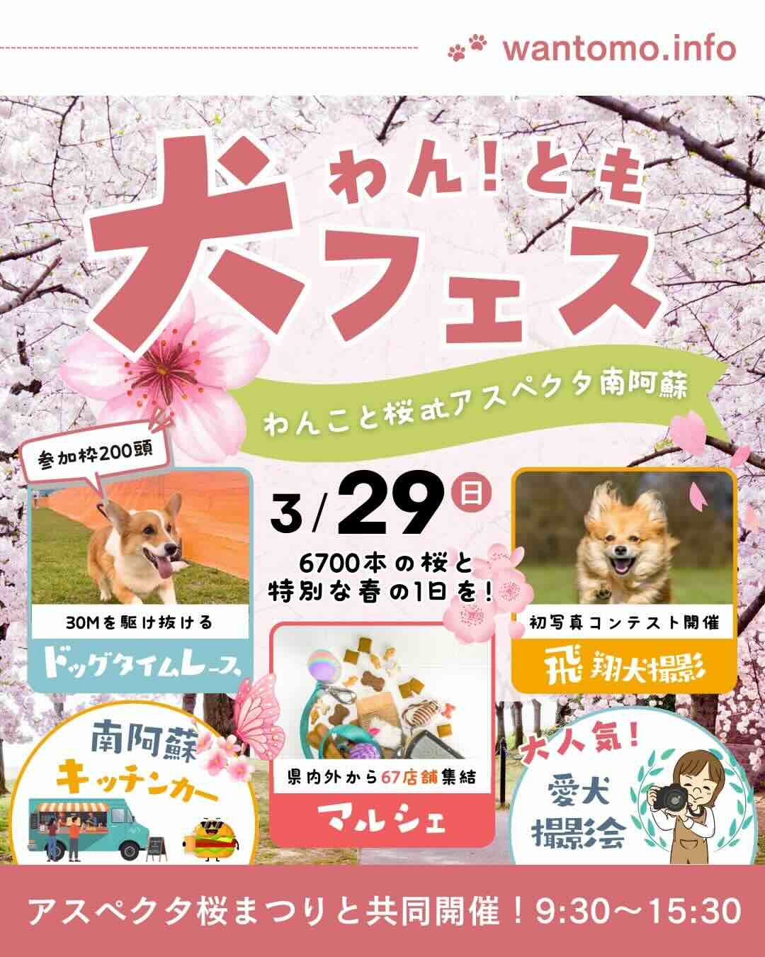 わん!とも犬フェス春~わんこと桜~のイベント画像