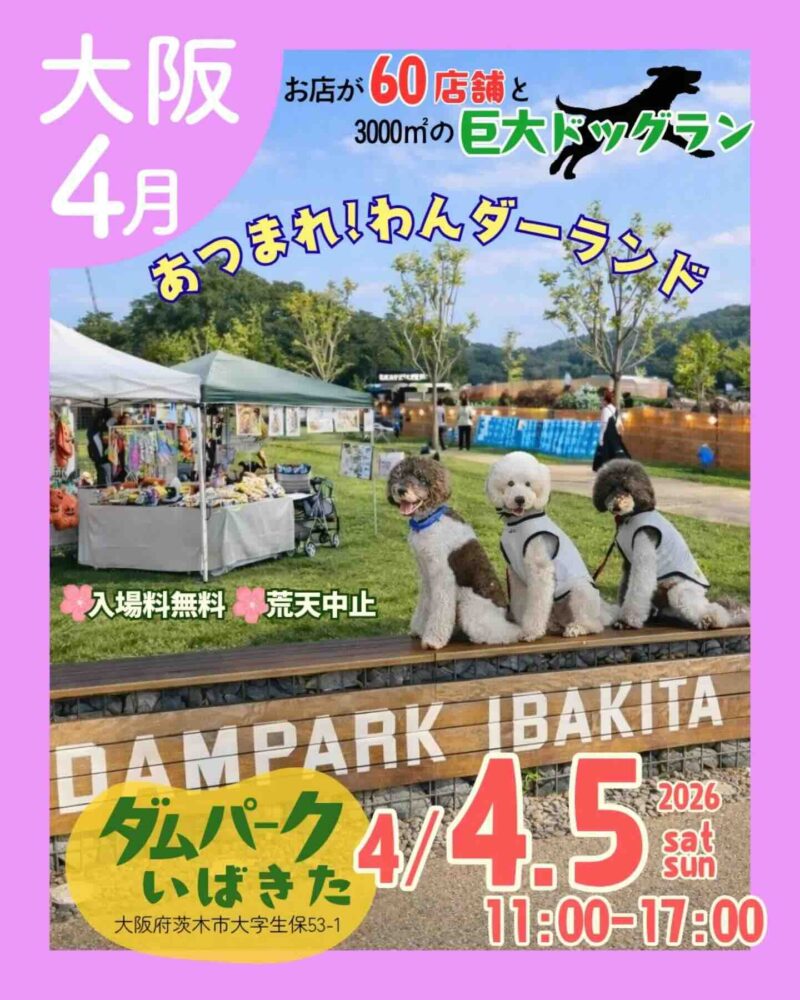 あつまれ！わんダーランドのイベント画像