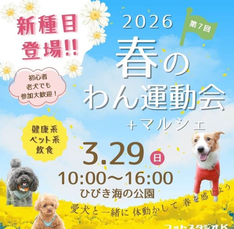 春のわん運動会+マルシェのイベント画像