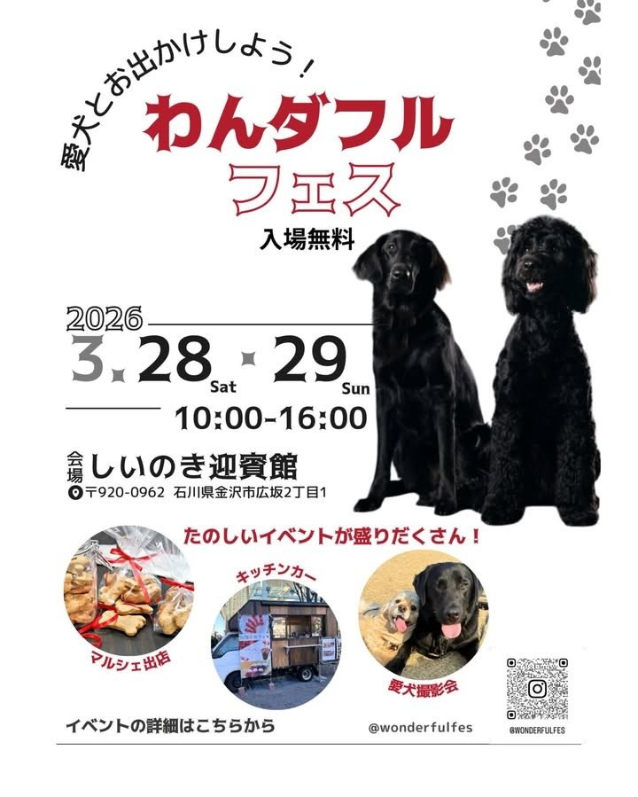 わんダフルフェスのイベント画像