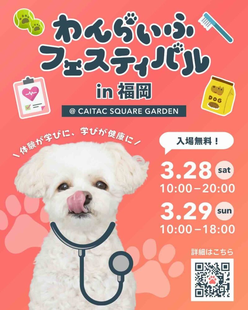 わんらいふフェスティバル in 福岡のイベント画像