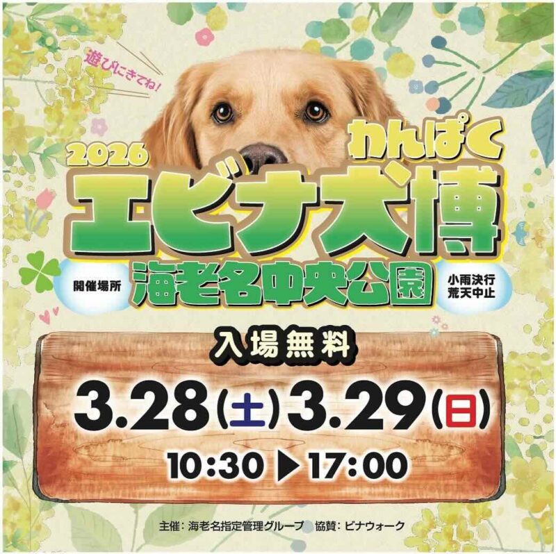 第3回エビナ犬博（わんぱく）のイベント画像