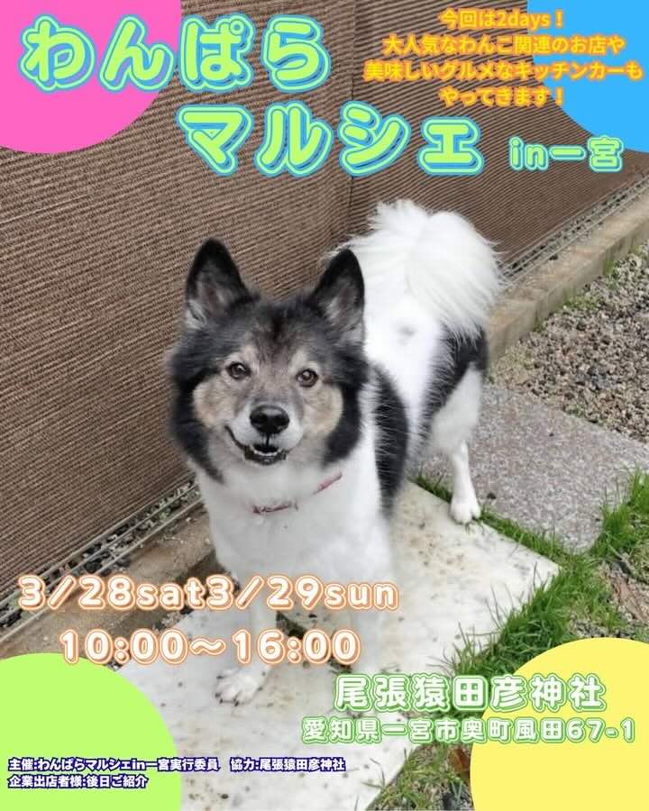 わんぱらマルシェ in 一宮のイベント画像