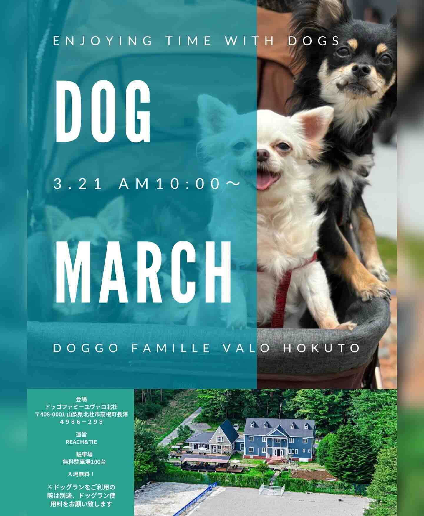 DOG MARCHのイベント画像