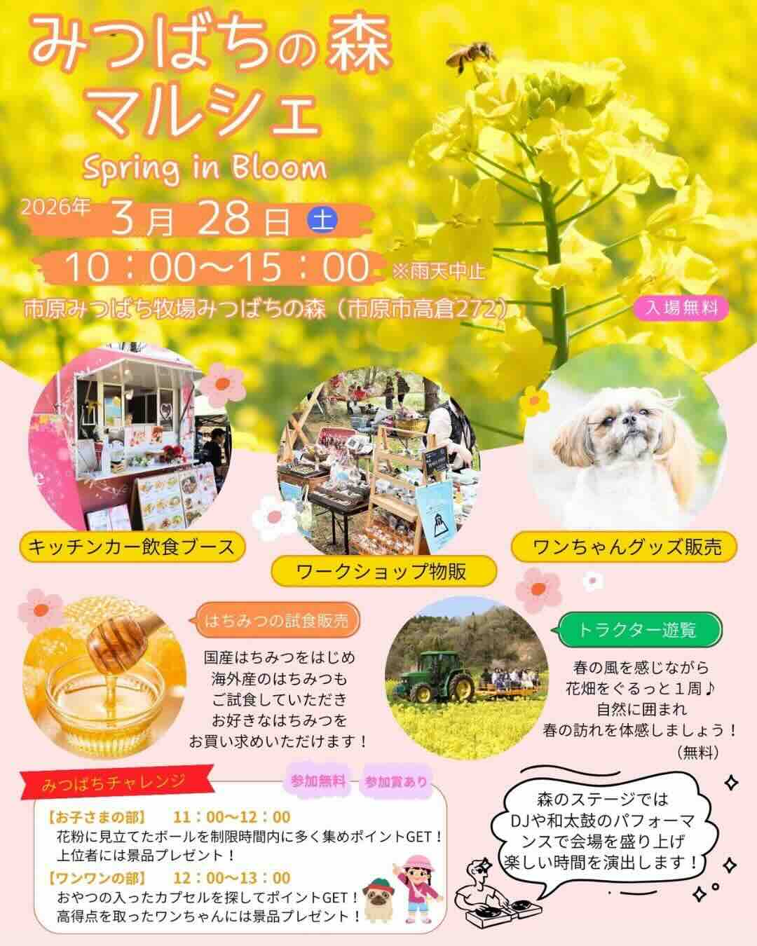 みつばちの森マルシェ ～Spring in Bloom～のイベント画像